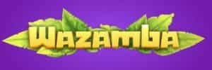 Jogo cricket